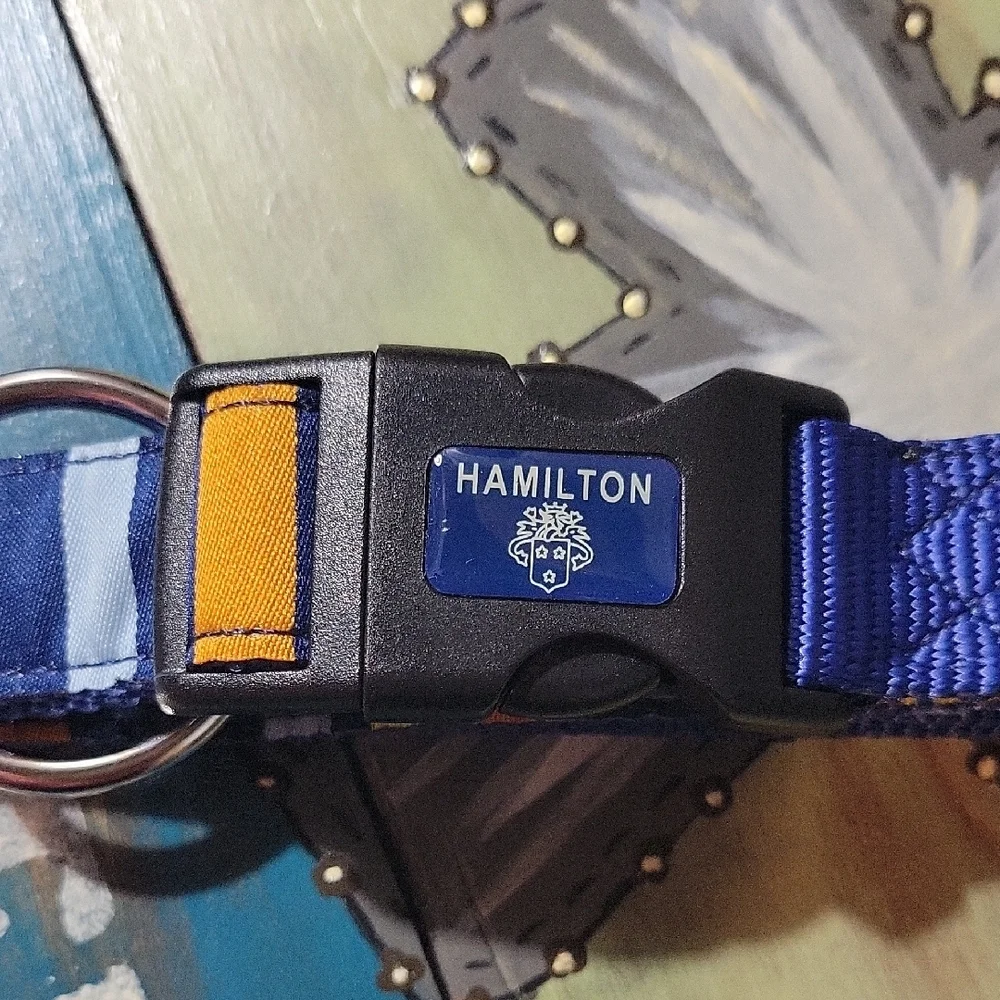 Hamilton Vibrant Blue and Yellow Dog Collar